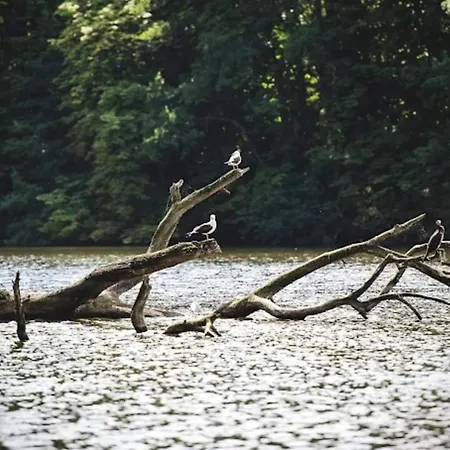 Feriehus 4 Star In Bogense-by Traum *