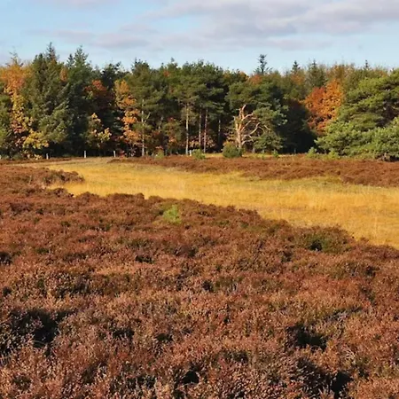 4 Star In Bogense-by Traum *