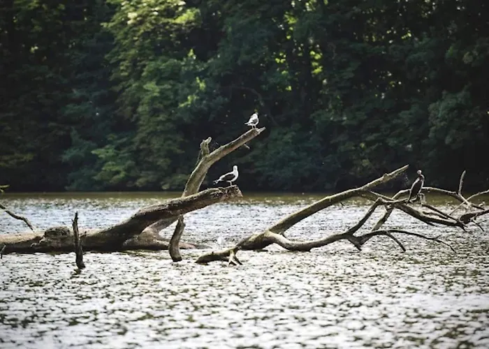 Nyaraló 4 Star In Bogense-by Traum *