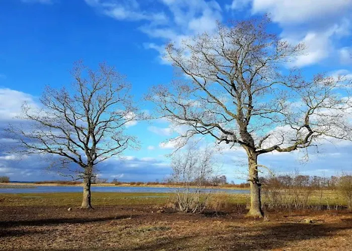 4 Star In Bogense-by Traum Bogense